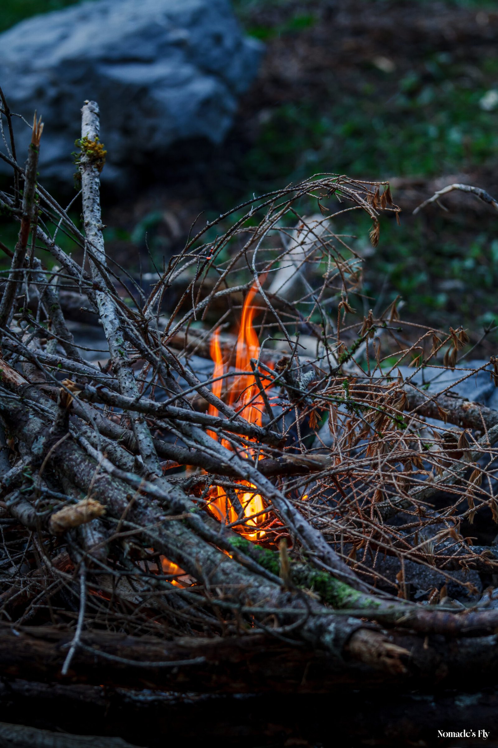 Feux de bois